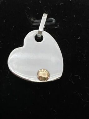 Steel by Design QVC Stainless/14k Gold Heart Pendant NEW
